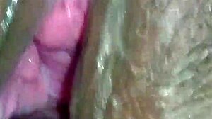 Exploring Kvid0126 Video Content with Detailed Features and Highlights