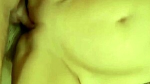 Porn Milf Movies Collection