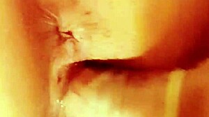 brunette with perfect ass cums multiple times 😍