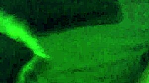 Werita, the bold Mexican teen 18+, gets fucked hard in her tight pussy.