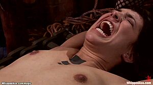 अरे, इस बंधी हुई डाइक को कोड़े मारते और गांड चुदाई करते देखना चाहते हो?