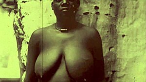 Explore the wonderful world of vintage photography