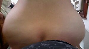 comparando sentadas na pica, duda hugnen ou dany rio, quem quica melhor na rola?