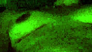 An Amateur Girl Enjoys Solo Masturbation In Her Bedroom.