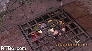 oh man that harsh whipping on this enjoyable girl got me all nasty with brutal fucking and sucking her european cock