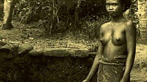 Dark Lantern Entertainment Unveils Bold Vintage Scenes with Hairy Natural Beauties