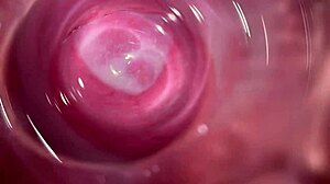 Best Friend Reveals Deep Secrets Inside Her Teen Pussy Orgasm