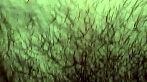 sucking dick like a pro every night