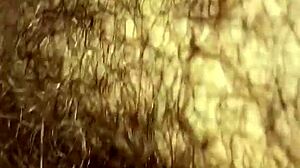 real amateur hairy wife gets fucked pov