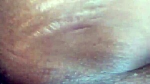 fun time with tattooed star