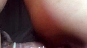 Exploring vietnam's culture and traditions