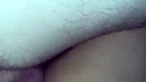 tatylu has a passionate encounter with amateurs