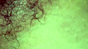 20170118 Licking Vietnamese Wife's Intimate Area