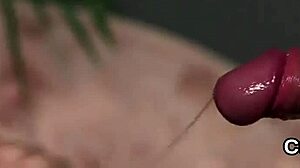 wicked idol, wanna taste this massive cumshot on my face?