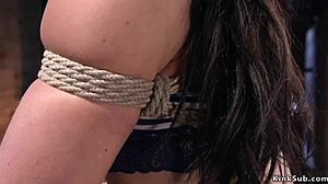 i love how this hairy pussy slave gets caned in rough hogtie.