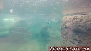 Teen Cream And Real Love Sex Doll Sexy Youthful 18+ Girls Alexa Nova