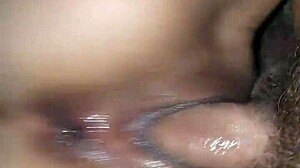 Tiny latina bounces on thick cock