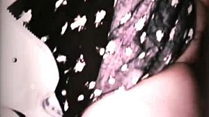 i suck stranger's dick in park revenge