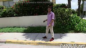 Gay Weenie Porn Videos.