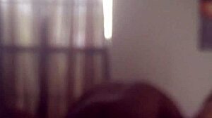 img 2146 mov file from the video collection