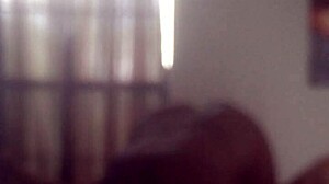 img 2146 mov file from the video collection