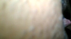 putita gritona screaming while getting pussy fucked