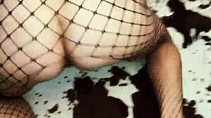 Hot Amateur Couple Engages in Anal Sex