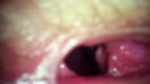 Wife Takes Beer Bottle For Anal Fisting