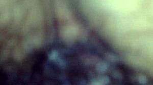 Vietnam girl explores local culture