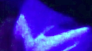 amateur couple in kimono cosplay sex video part one