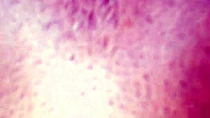 What's in this amateur video from April 2, 2017?