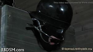 Hardcore scene number five in series