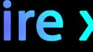 Vivi Guedez Calls IT Technician for PC Repair