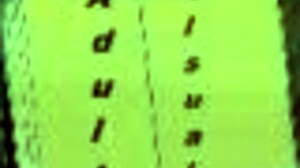 Harem Hotel 90: A Hentai Game with Various Scenes and Characters