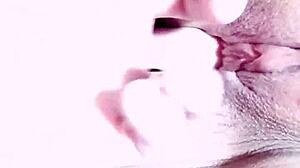 Couples Edu And Aline Close Up Penetration And Cumshot On Pussy!