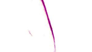 my nasty fucking with wet pussy mature amateurs