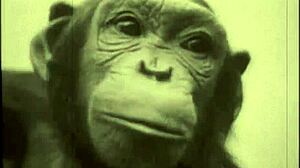 Vintage Beauty Bends Over for Beastly Doggystyle in Retro Pussy Action.