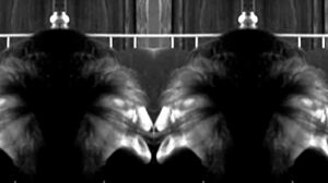 Amateur mature cocksucker wants cum on tongue