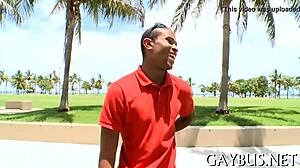 free homosexual porn clip for your viewing pleasure