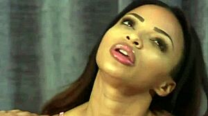 Best Collection For Your Masturbation Sessions