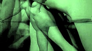 Vintage Glimpse Presents 19th Century Diaries of English Gentleman