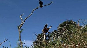 Wet Lesbian Games In Ibiza With Sexy Pornstars