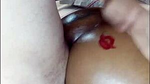 white bull fucking and impregnating the hotwife slut