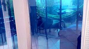 i filmed my cuckold neighbor enjoying his wife getting fucked by big dicks in the neighborhood