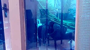 i filmed my cuckold neighbor enjoying his wife getting fucked by big dicks in the neighborhood