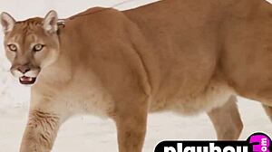 मॉडल Abby Brothers ने बाहर हॉट शूट में परफेक्ट गांड दिखाई, क्या है उसका राज?