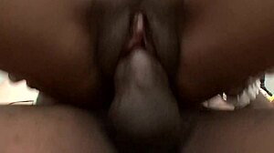 black sluts dvae and anita peida sharing black cock, getting pussies rammed in doggystyle threesome!
