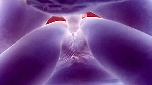 Blanco y negro in a provocative contrast?