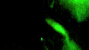 long fat head in her mouth