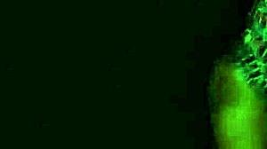 Danced naked on the street, then got fucked on the car hood